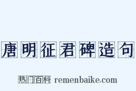 唐明征君碑造句是什么意思的图片